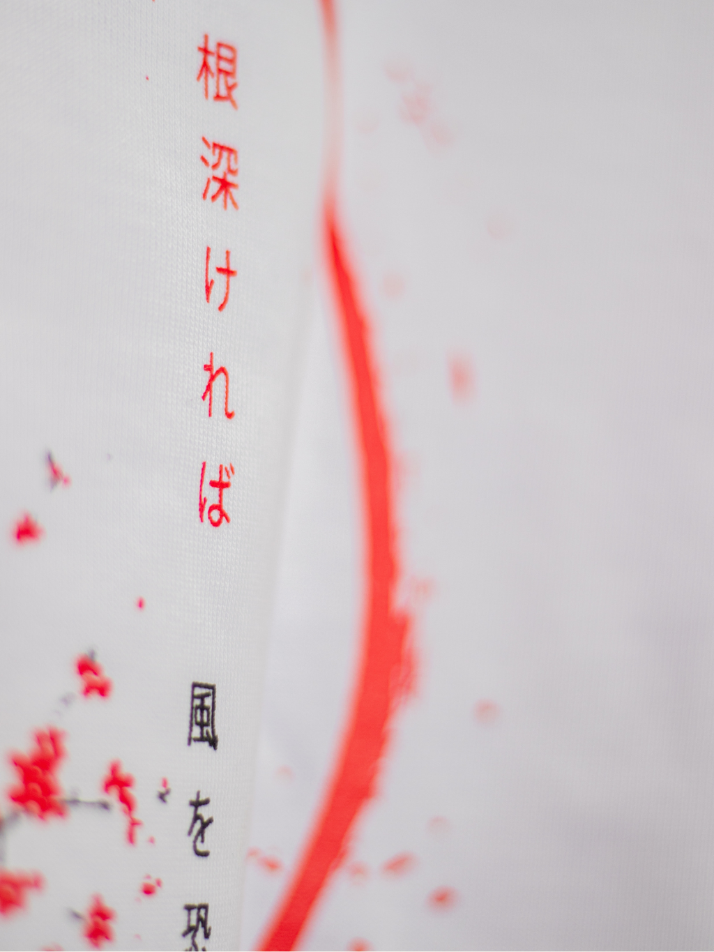 Sakura — Bianco Zen